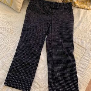 Navy blue polka dots capris style pants